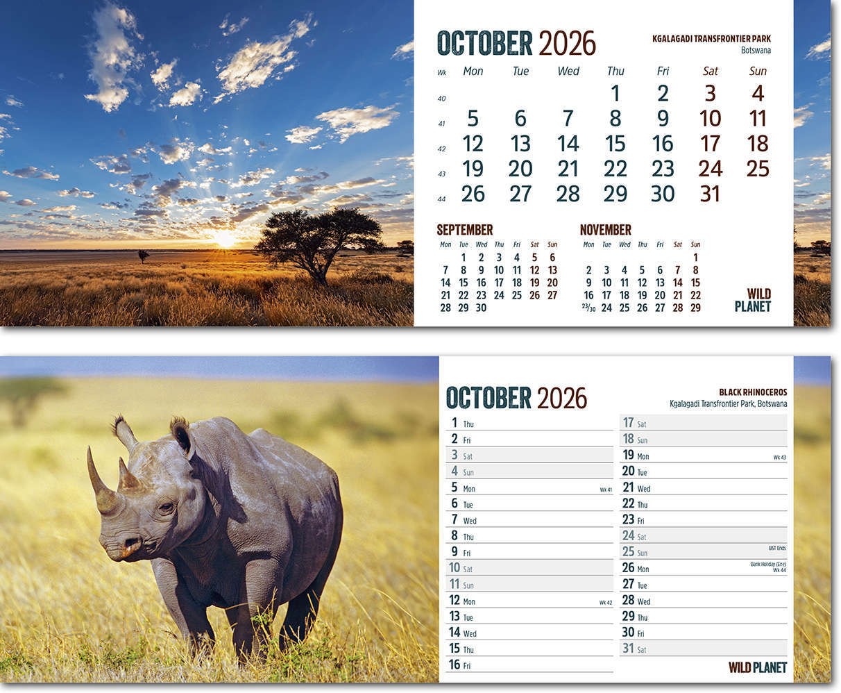 Wild Planet Note Station Desk Calendar 