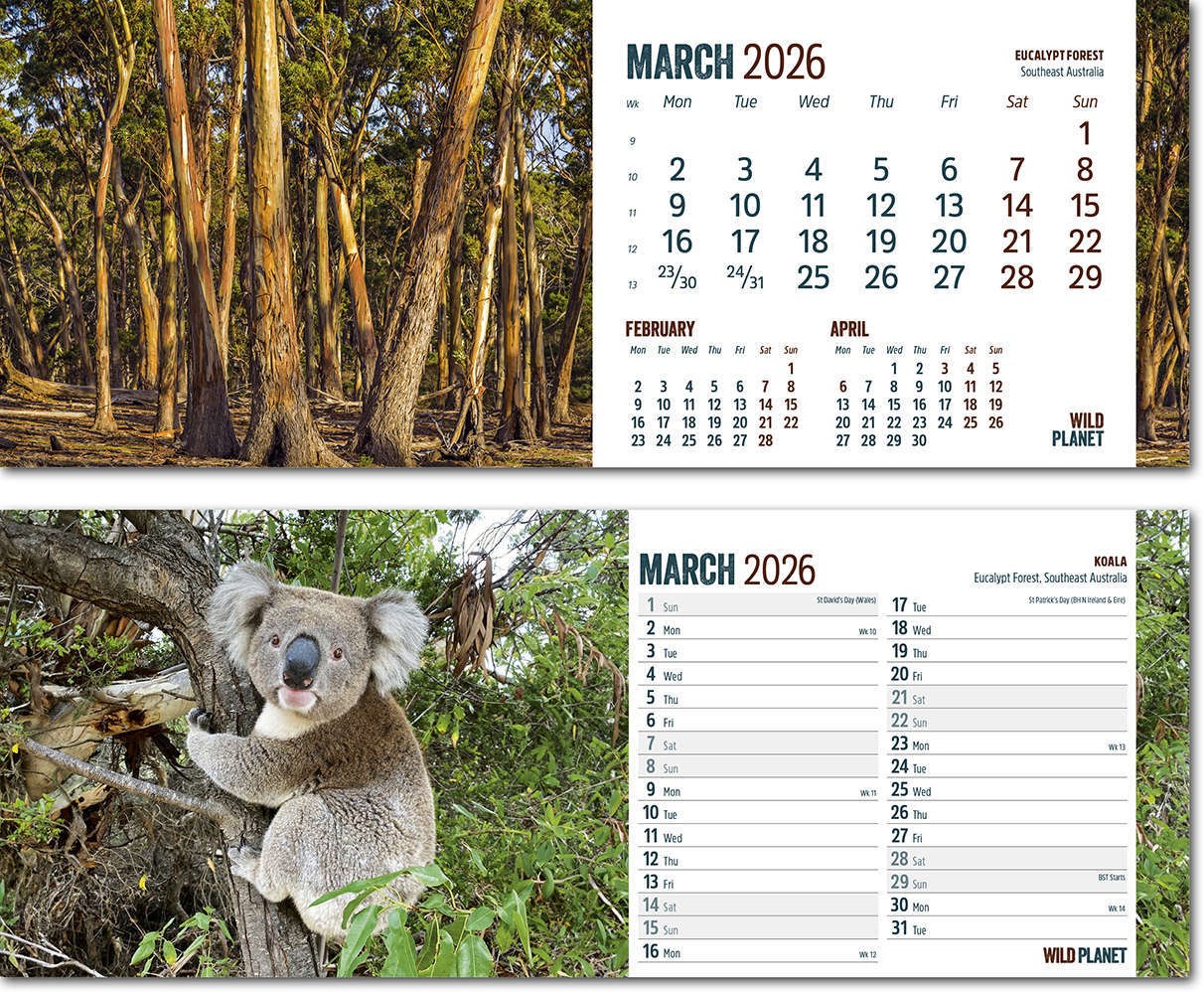 Wild Planet Premium Lined Easel Desk Calendar