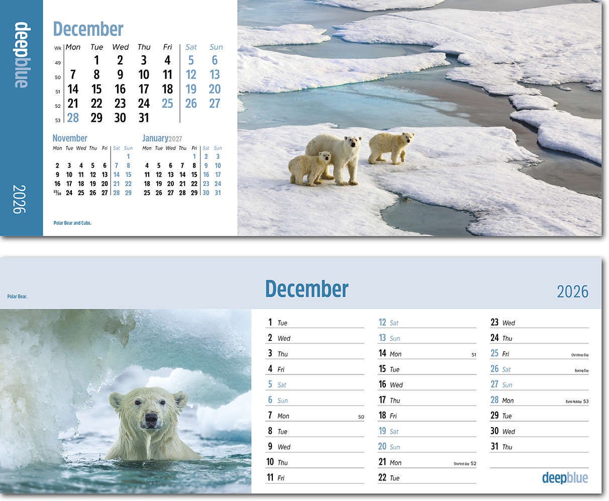 Deep Blue Premium Lined Easel Desk Calendar