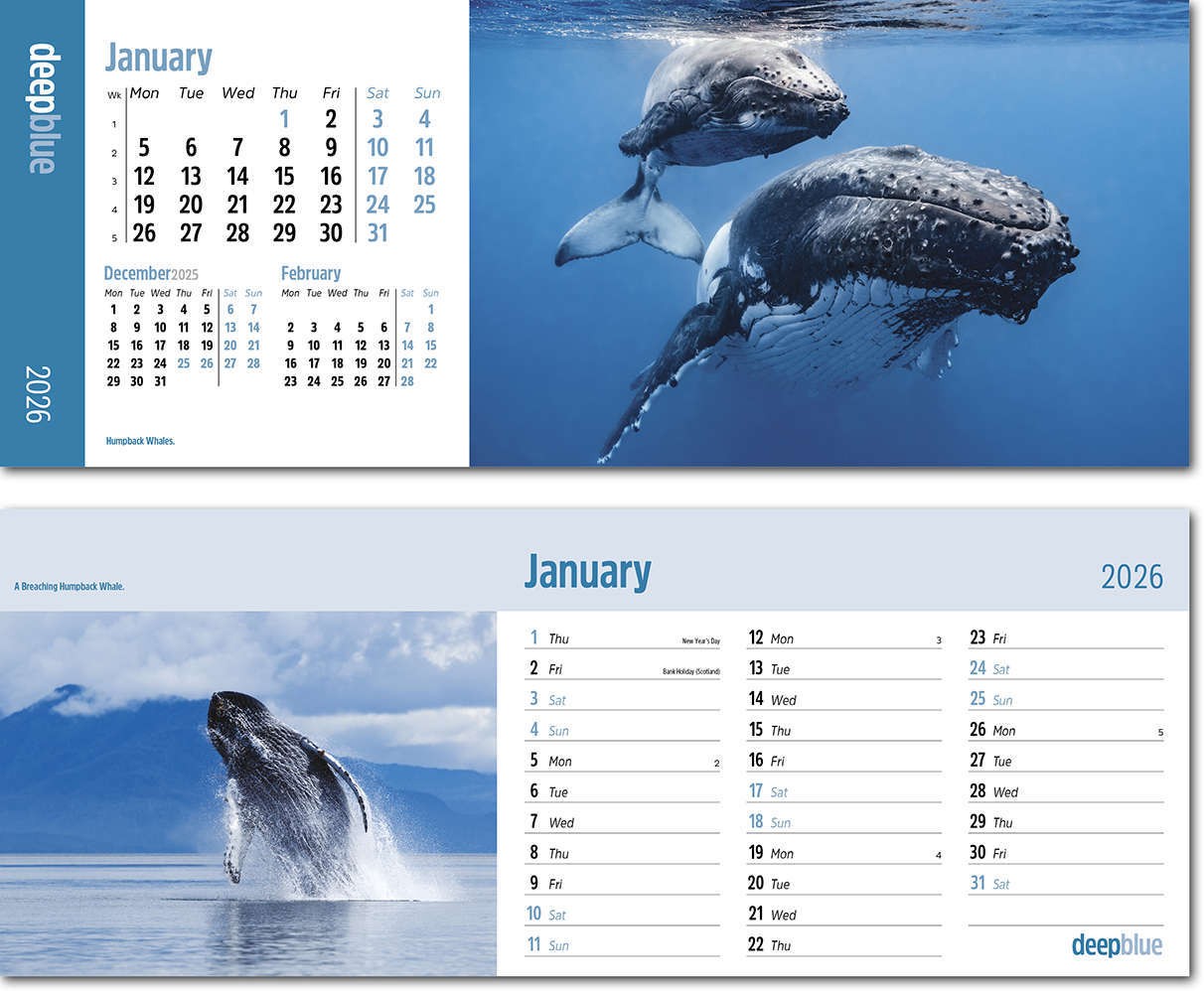 Deep Blue Task Station Desk Calendar