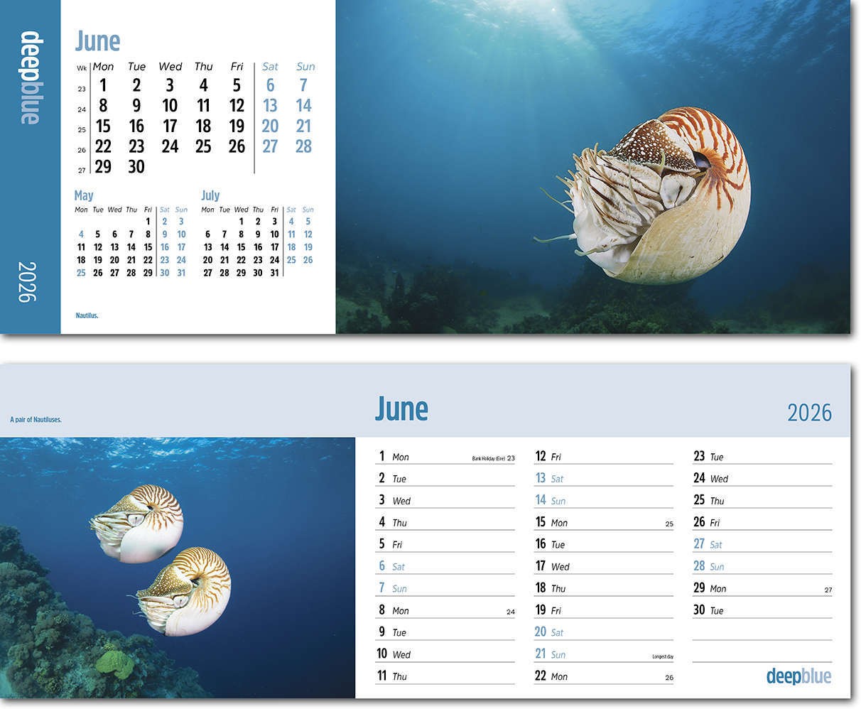 Deep Blue Task Station Desk Calendar