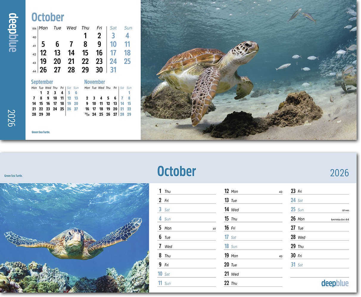 Deep Blue Task Station Desk Calendar