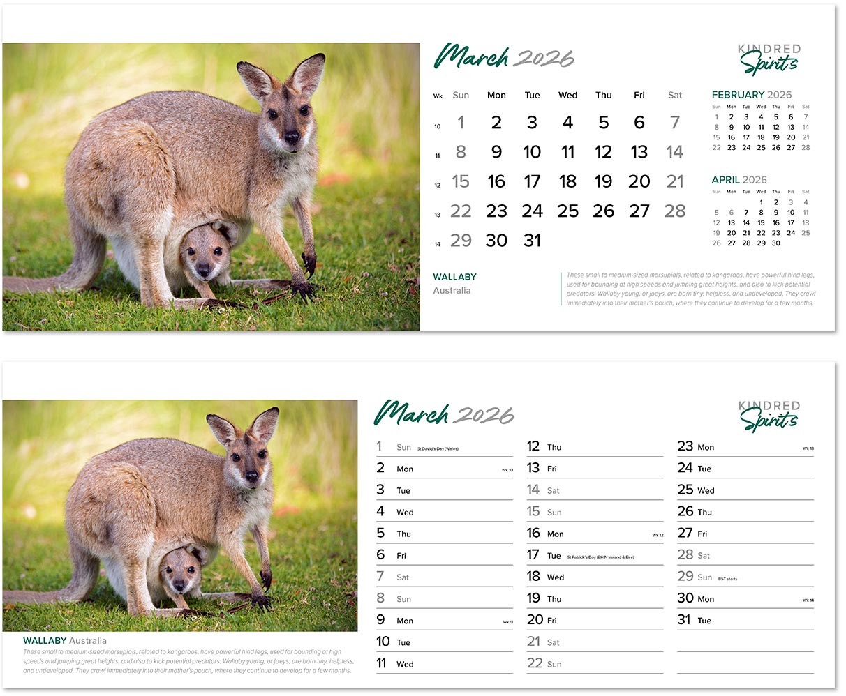 Kindred Spirits Desk Calendar