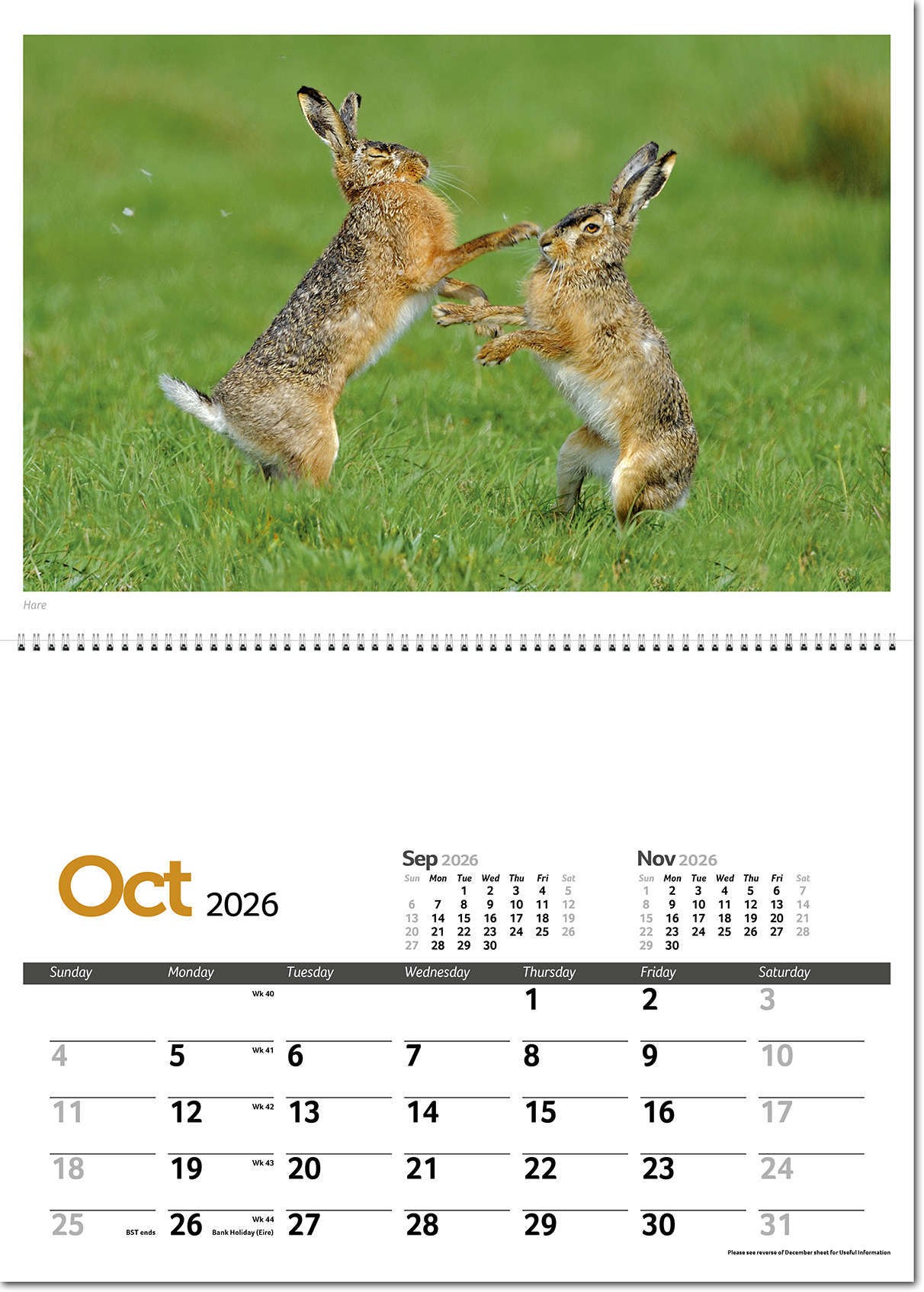 Wildlife in Britain Postage Saver Calendar