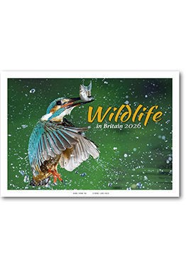 Wildlife in Britain Postage Saver Calendar