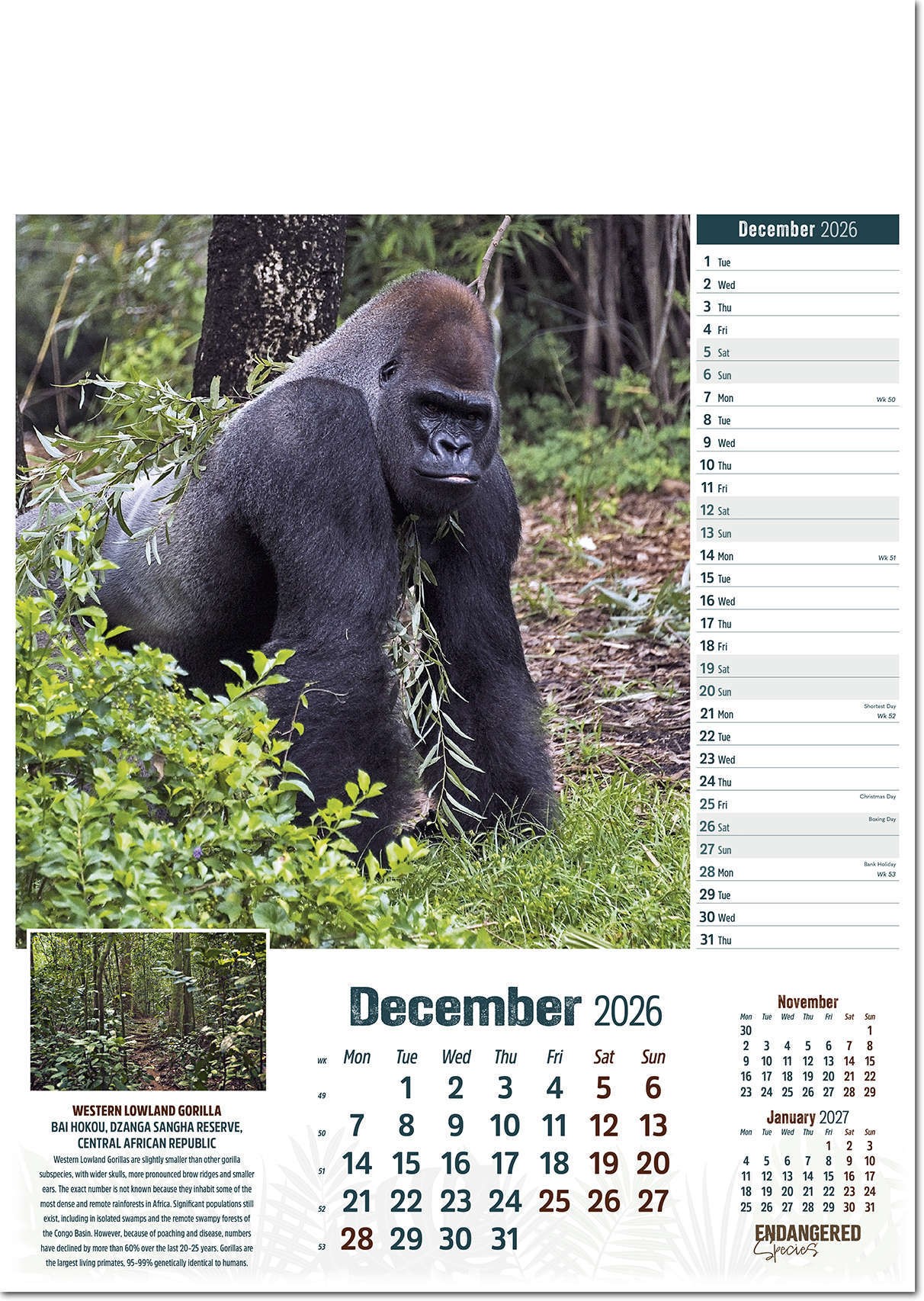 Endangered Species Calendar