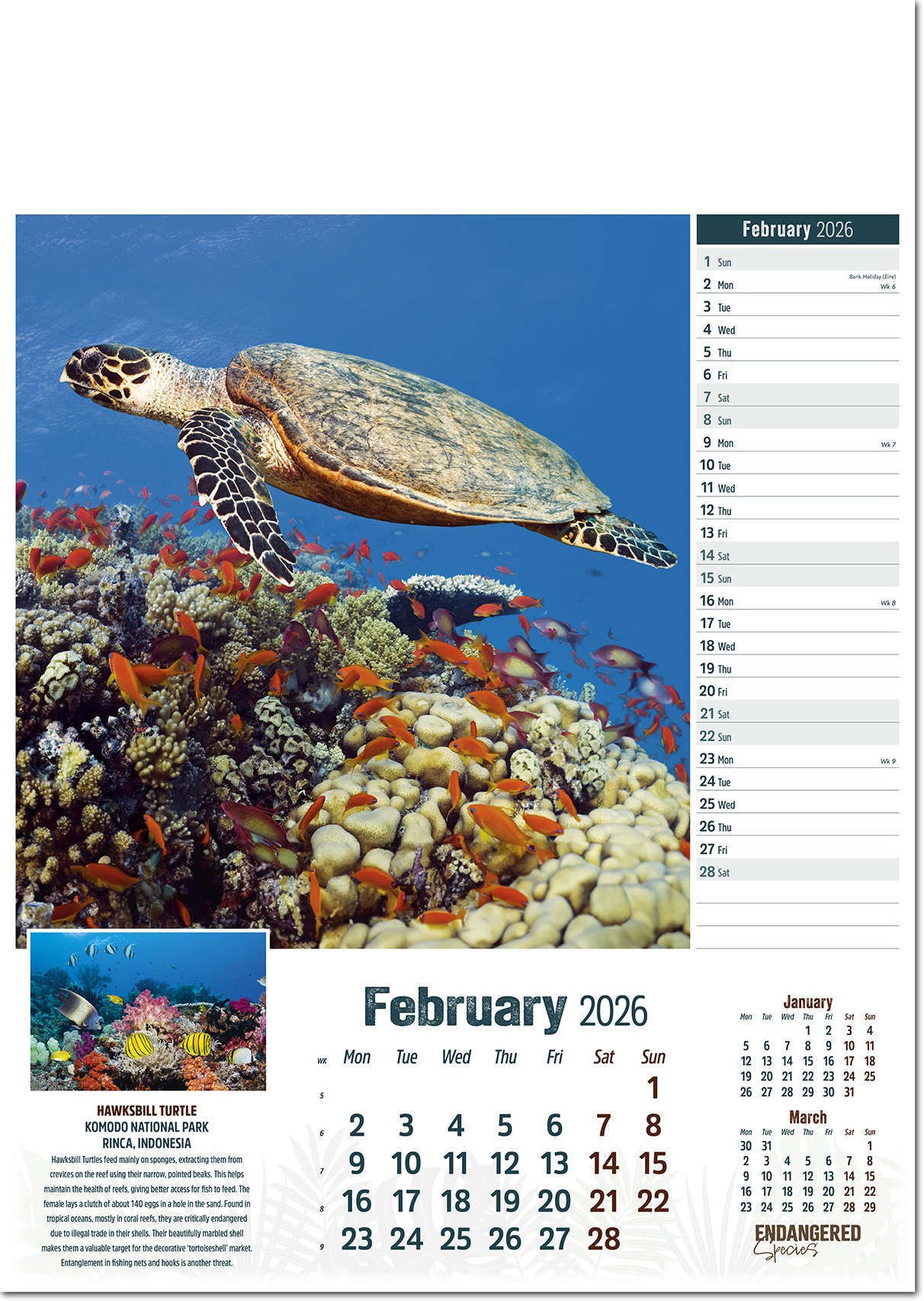 Endangered Species Calendar