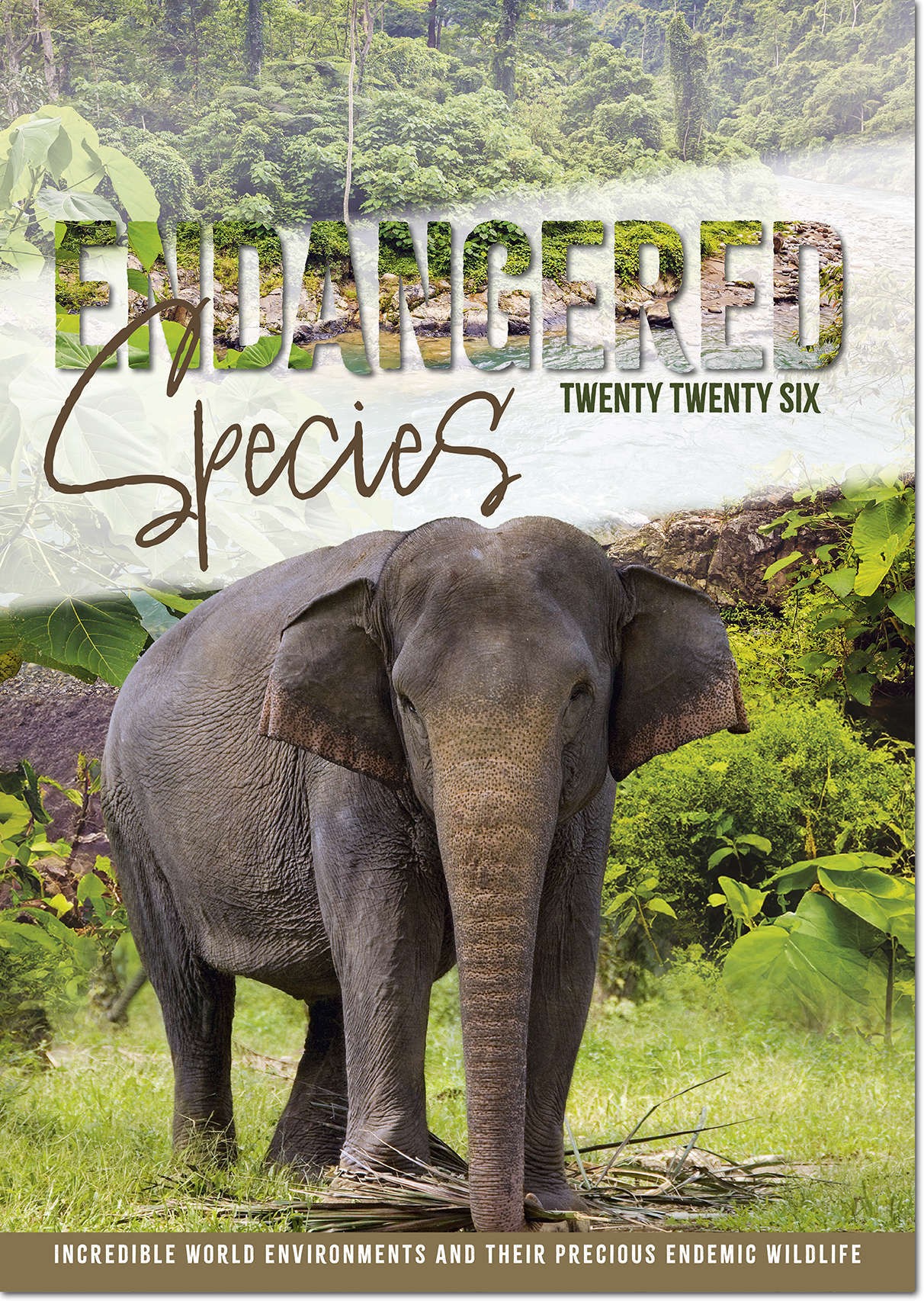 Endangered Species Calendar