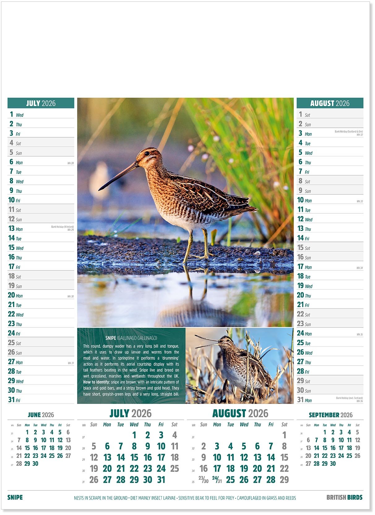 British Birds Calendar