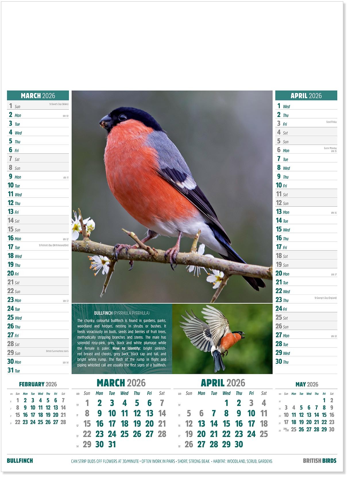 British Birds Calendar