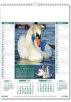 British Birds Calendar