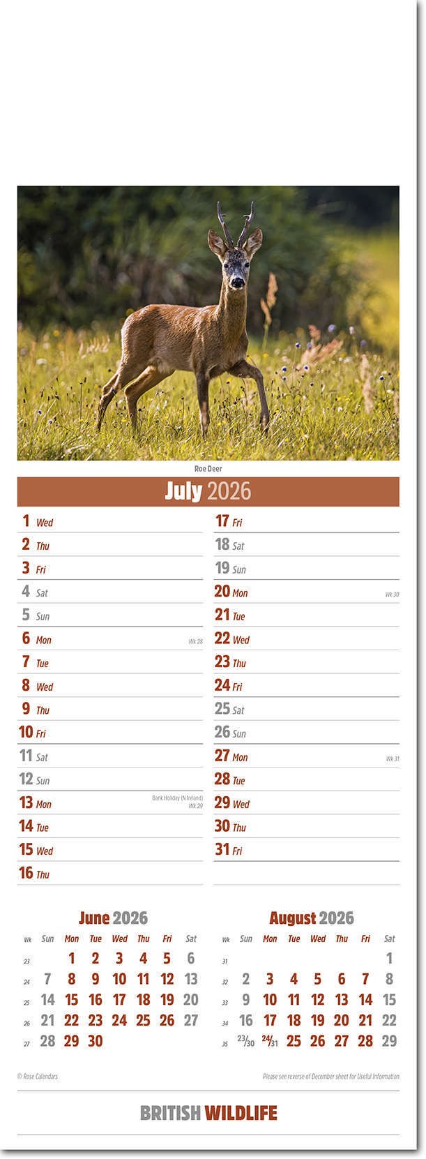 Slimline British Wildlife Calendar